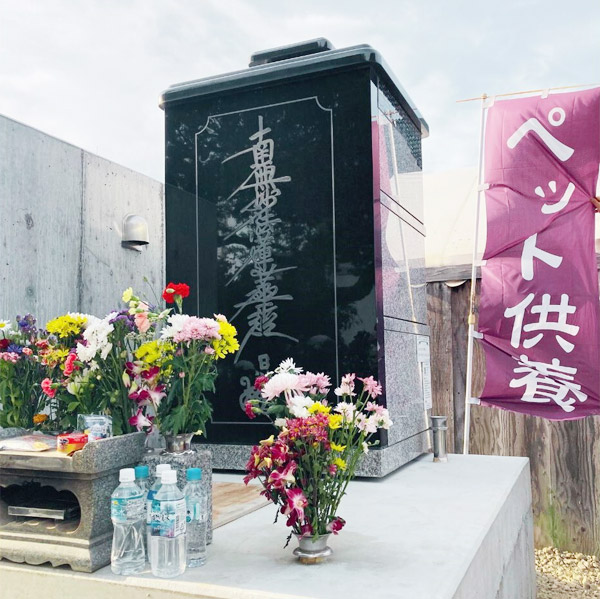 動物供養塔移転