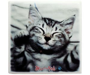 セラミックプリント