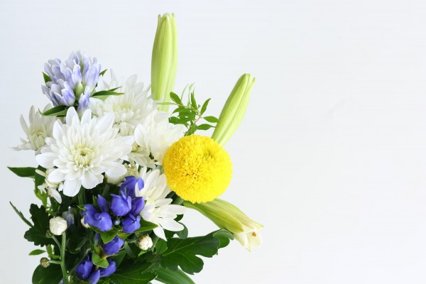 菊やユリじゃなくても良い？ペットとのお別れにおすすめの花をご紹介サムネイル